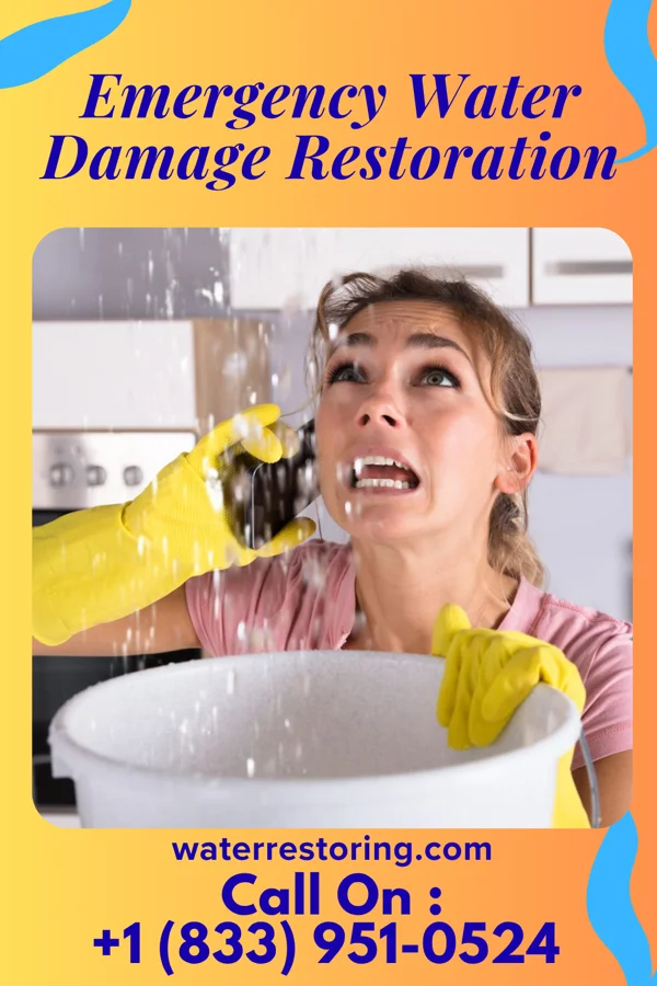 Emergency Water Damage Restoration in Cedar Bluff, VA